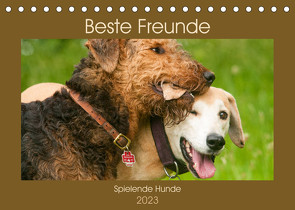 Beste Freunde – Spielende Hunde (Tischkalender 2023 DIN A5 quer) von Bölts,  Meike