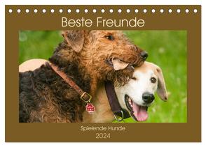 Beste Freunde – Spielende Hunde (Tischkalender 2024 DIN A5 quer), CALVENDO Monatskalender von Bölts,  Meike