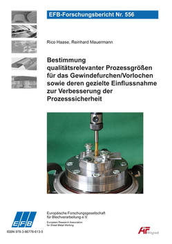 Bestimmung qualitätsrelevanter Prozessgrößen für das Gewindefurchen/Vorlochen sowie deren gezielte Einflussnahme zur Verbesserung der Prozesssicherheit von Haase,  Rico, Mauermann,  Reinhard