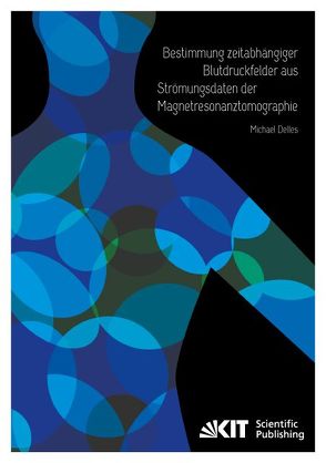 Bestimmung zeitabhängiger Blutdruckfelder aus Strömungsdaten der Magnetresonanztomographie von Delles,  Michael