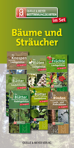 Bestimmungskarten-Set „Bäume und Sträucher“ von Quelle & Meyer Verlag