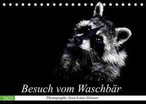 Besuch vom Waschbär (Tischkalender 2023 DIN A5 quer) von Glineur,  Jean-Louis