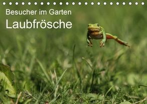 Besucher im Garten – Laubfrösche (Tischkalender 2018 DIN A5 quer) von Wilhelm,  N.