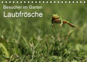 Besucher im Garten – Laubfrösche (Tischkalender 2019 DIN A5 quer) von Wilhelm,  N.