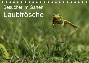 Besucher im Garten – Laubfrösche (Tischkalender 2020 DIN A5 quer) von Wilhelm,  N.