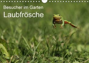 Besucher im Garten – Laubfrösche (Wandkalender 2018 DIN A4 quer) von Wilhelm,  N.