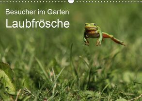 Besucher im Garten – Laubfrösche (Wandkalender 2019 DIN A3 quer) von Wilhelm,  N.