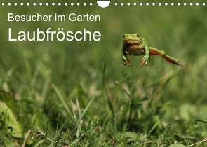 Besucher im Garten – Laubfrösche (Wandkalender 2022 DIN A4 quer) von Wilhelm,  N.