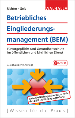 Betriebliches Eingliederungsmanagement (BEM) von Geis,  Raymund, Richter,  Achim