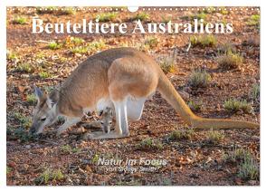 Beuteltiere Australiens (Wandkalender 2024 DIN A3 quer), CALVENDO Monatskalender von Smith,  Sidney