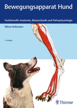 Bewegungsapparat Hund von Hohmann,  Mima