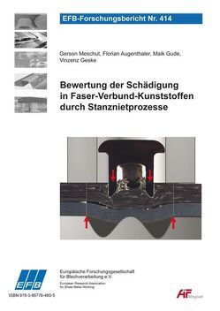 Bewertung der Schädigung in Faser-Verbund-Kunststoffen durch Stanznietprozesse von Augenthaler,  Florian, Geske,  Vinzenz, Gude,  Maik, Meschut,  Gerson