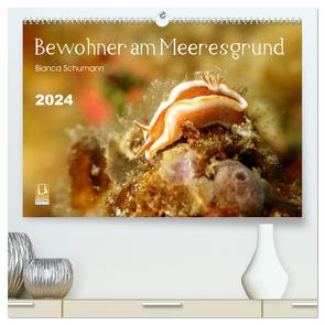 Bewohner am Meeresgrund (hochwertiger Premium Wandkalender 2024 DIN A2 quer), Kunstdruck in Hochglanz von Schumann,  Bianca