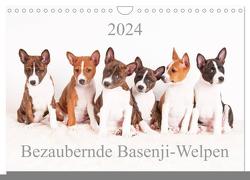 Bezaubernde Basenji-Welpen (Wandkalender 2024 DIN A4 quer), CALVENDO Monatskalender von Joswig,  Angelika