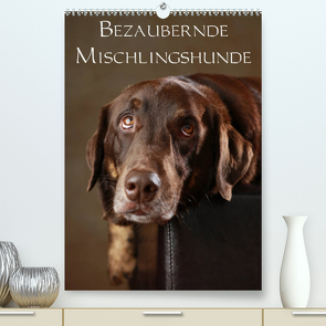 Bezaubernde Mischlingshunde (Premium, hochwertiger DIN A2 Wandkalender 2023, Kunstdruck in Hochglanz) von Behr,  Jana