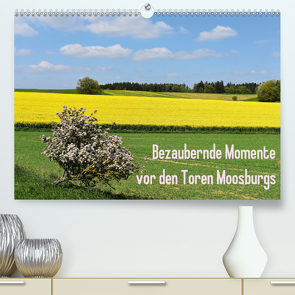 Bezaubernde Momente vor den Toren Moosburgs (Premium, hochwertiger DIN A2 Wandkalender 2021, Kunstdruck in Hochglanz) von Brigitte Deus-Neumann,  Dr.