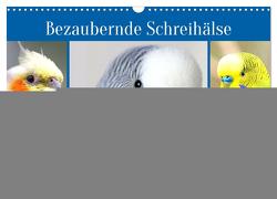 Bezaubernde Schreihälse. Wellen- und Nymphensittiche (Wandkalender 2024 DIN A3 quer), CALVENDO Monatskalender von Hurley,  Rose