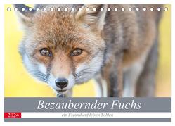 Bezaubernder Fuchs – ein Freund auf leisen Sohlen (Tischkalender 2024 DIN A5 quer), CALVENDO Monatskalender von Petzl,  Perdita