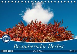 Bezaubernder Herbst (Tischkalender 2019 DIN A5 quer) von Kruse,  Gisela