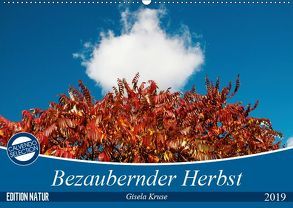 Bezaubernder Herbst (Wandkalender 2019 DIN A2 quer) von Kruse,  Gisela