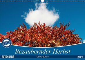 Bezaubernder Herbst (Wandkalender 2019 DIN A3 quer) von Kruse,  Gisela