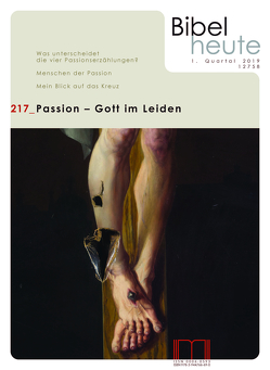 Bibel heute / Passion – Gott im Leiden von Birnbaum,  Elisabeth, Fendrich,  Herbert, Hose,  Burkhard, Kreinecker,  Christina M., Lau,  Markus, Meier,  Thomas Markus, Schreiber,  Stefan, Then,  Reinhold, Wellmann,  Bettina