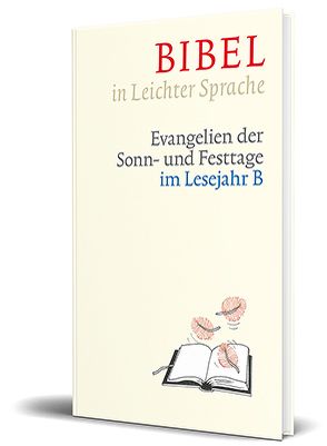 Bibel in Leichter Sprache von Bauer,  Dieter, Ettl,  Claudio, Mels,  Paulis, Raff,  Jürgen