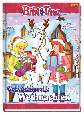 Bibi & Tina: Geheimnisvolle Weihnachten von Weber,  Claudia