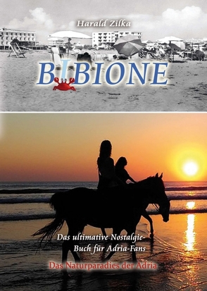 BIBIONE – Das ultimative Fanbuch von Zilka,  Harald