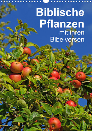 Biblische Pflanzen mit ihren Bibelversen (Wandkalender 2023 DIN A3 hoch) von Vorndran,  Hans-Georg