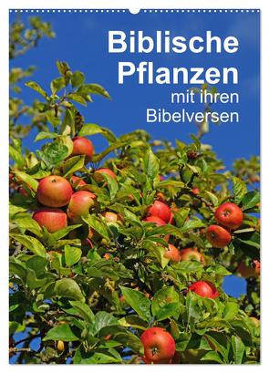 Biblische Pflanzen mit ihren Bibelversen (Wandkalender 2024 DIN A2 hoch), CALVENDO Monatskalender von Vorndran,  Hans-Georg