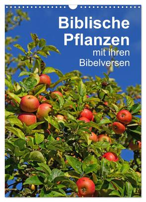 Biblische Pflanzen mit ihren Bibelversen (Wandkalender 2024 DIN A3 hoch), CALVENDO Monatskalender von Vorndran,  Hans-Georg