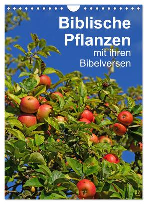 Biblische Pflanzen mit ihren Bibelversen (Wandkalender 2024 DIN A4 hoch), CALVENDO Monatskalender von Vorndran,  Hans-Georg