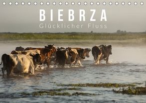 Biebrza. Glücklicher Fluss (Tischkalender 2018 DIN A5 quer) von Gospodarek,  Mikolaj