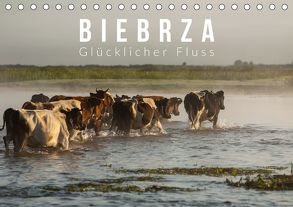 Biebrza. Glücklicher Fluss (Tischkalender 2020 DIN A5 quer) von Gospodarek,  Mikolaj