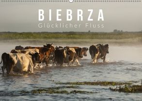 Biebrza. Glücklicher Fluss (Wandkalender 2018 DIN A2 quer) von Gospodarek,  Mikolaj