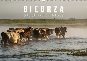 Biebrza. Glücklicher Fluss (Wandkalender 2020 DIN A2 quer) von Gospodarek,  Mikolaj