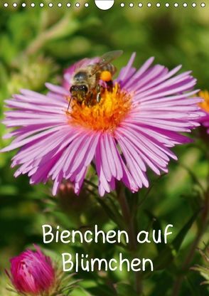 Bienchen auf Blümchen (Wandkalender 2018 DIN A4 hoch) von kattobello