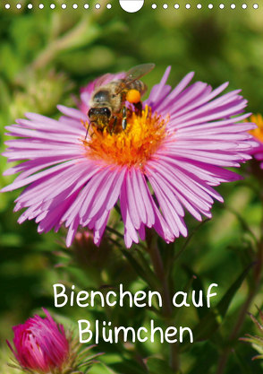 Bienchen auf Blümchen (Wandkalender 2020 DIN A4 hoch) von kattobello