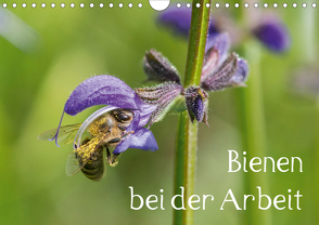 Bienen bei der Arbeit (Wandkalender 2020 DIN A4 quer) von Kropf,  Zlatko