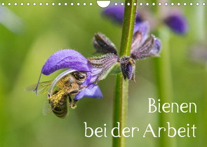 Bienen bei der Arbeit (Wandkalender 2023 DIN A4 quer) von Kropf,  Zlatko