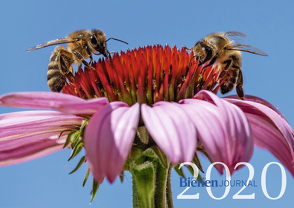 Bienen-Bildkalender 2020