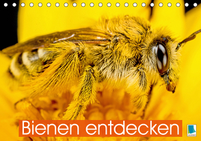 Bienen entdecken (Tischkalender 2021 DIN A5 quer) von CALVENDO