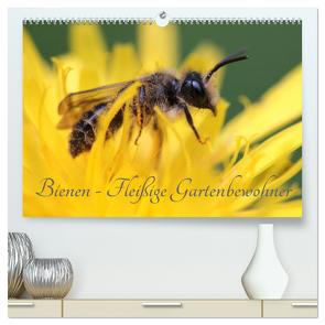 Bienen – Fleißige Gartenbewohner (hochwertiger Premium Wandkalender 2024 DIN A2 quer), Kunstdruck in Hochglanz von Hahnefeld,  Silvia