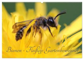 Bienen – Fleißige Gartenbewohner (Wandkalender 2024 DIN A2 quer), CALVENDO Monatskalender von Hahnefeld,  Silvia