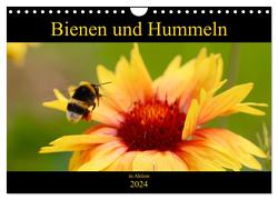 Bienen und Hummeln in Aktion (Wandkalender 2024 DIN A4 quer), CALVENDO Monatskalender von Krisma,  Krisma