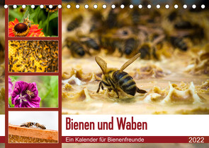 Bienen und Waben (Tischkalender 2022 DIN A5 quer) von Wilms,  Barbara