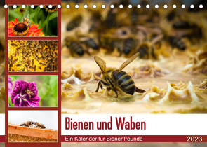 Bienen und Waben (Tischkalender 2023 DIN A5 quer) von Wilms,  Barbara