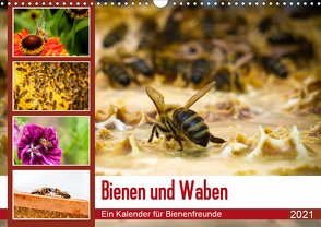 Bienen und Waben (Wandkalender 2021 DIN A3 quer) von Wilms,  Barbara