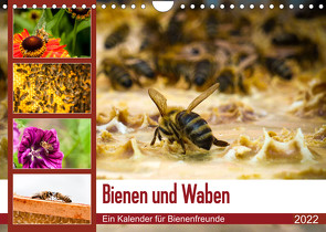 Bienen und Waben (Wandkalender 2022 DIN A4 quer) von Wilms,  Barbara